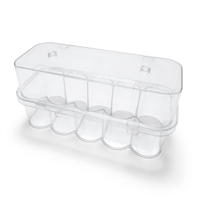 Clear Plastic Vial Case